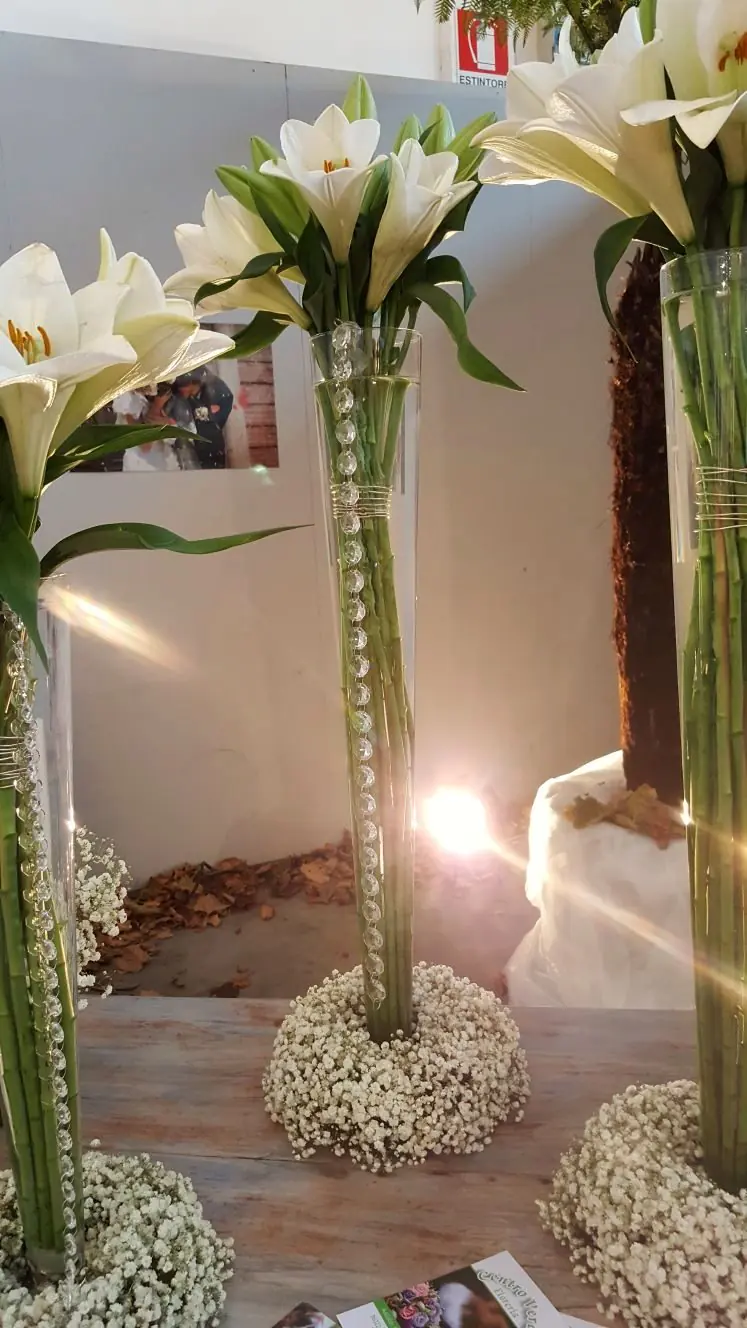 Calle bianche in vasi cilindrici alti su base di gypsophila