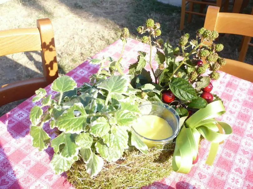 Composizione in cesto con verde ornamentale e bacche
