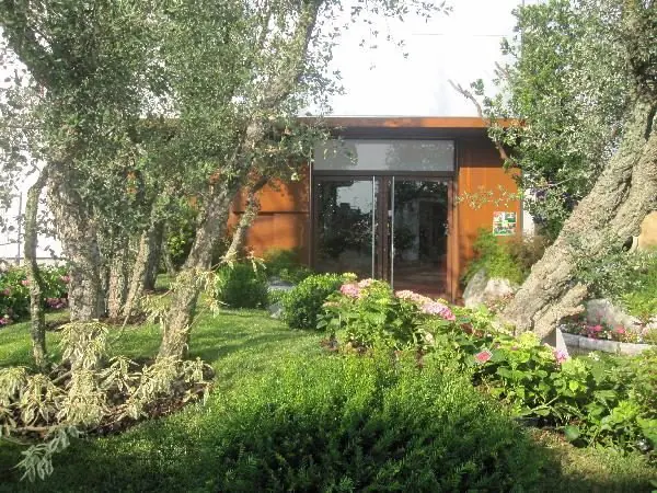 Aiuola d'ingresso con olivi, ortensie e bosso davanti a una facciata in legno