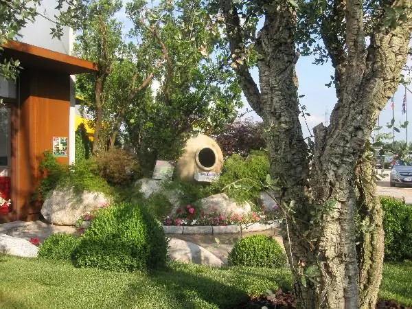 Giardino con anfora in terracotta, olivi potati e bordura fiorita